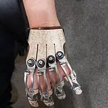 The naked hand prosthetic